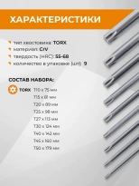 Набор ключей TORX 9 шт RAGE  (303141)