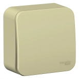 Выключатель одноклавишный Schneider Electric Blanca BLNVA101017. РФ.