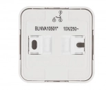 Выключатель двухкл. Schneider Electric Blanca BLNVA105011. РФ.