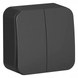 Выключатель двухкл. Schneider Electric Blanca BLNVA105016. РФ.