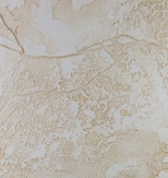 Краска VGT фактурная (белая) 9 кг