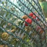 Сетка фасадная затеняющая KRONEX 35%, 3х50 м (STK-0901)