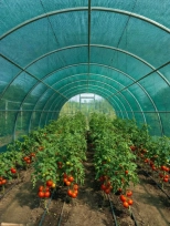 Сетка фасадная затеняющая KRONEX 55%, 4х50 м (STK-0905)