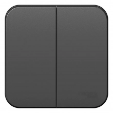 Выключатель двухклавишный Schneider Electric Blanca BLNVA105016. РФ.