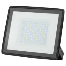 Прожектор светодиодный 100W 6500K ЭРА LPR-023-0-65K-100