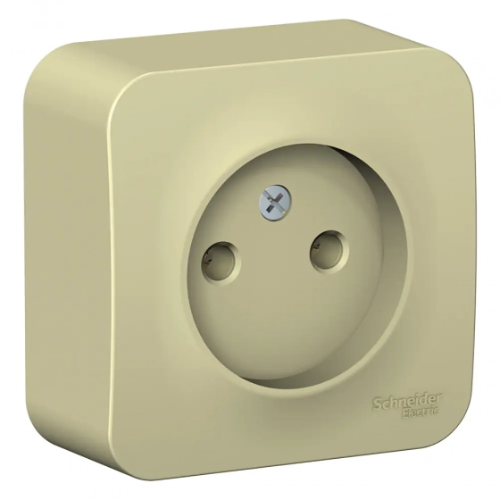 Розетка Schneider Electric Blanca BLNRA000117 б/з