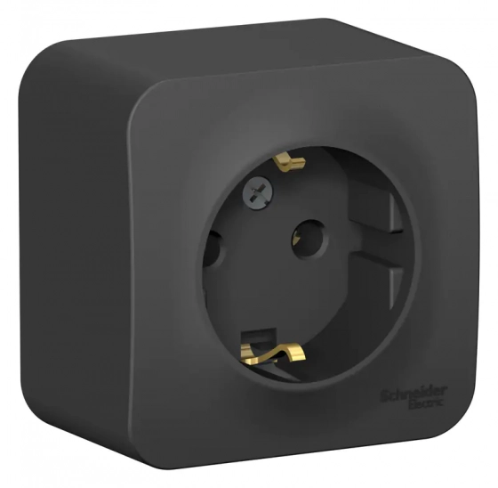 Розетка Schneider Electric Blanca BLNRA010116 с/з