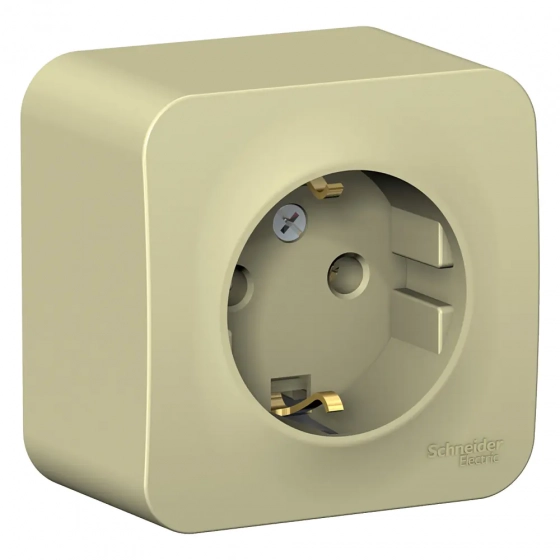 Розетка Schneider Electric Blanca BLNRA010117 с/з