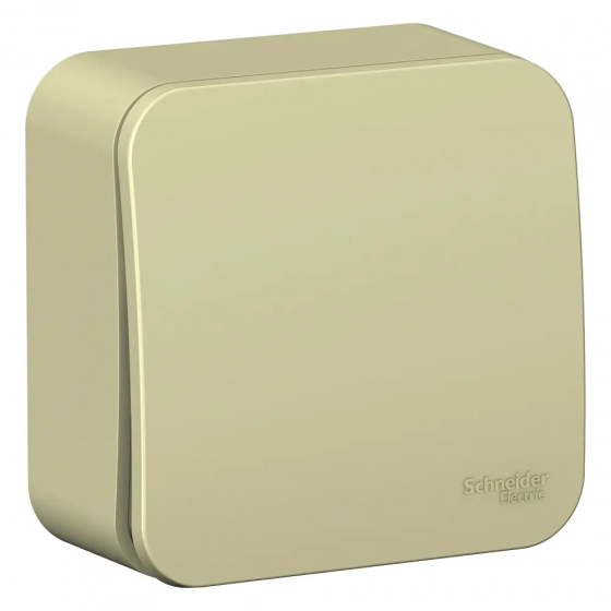 Выключатель одноклавишный Schneider Electric Blanca BLNVA101017. РФ.