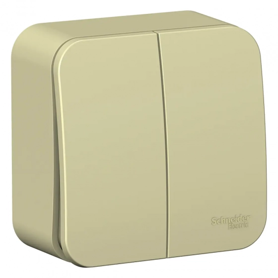 Выключатель двухклавишный Schneider Electric Blanca BLNVA105017. РФ.