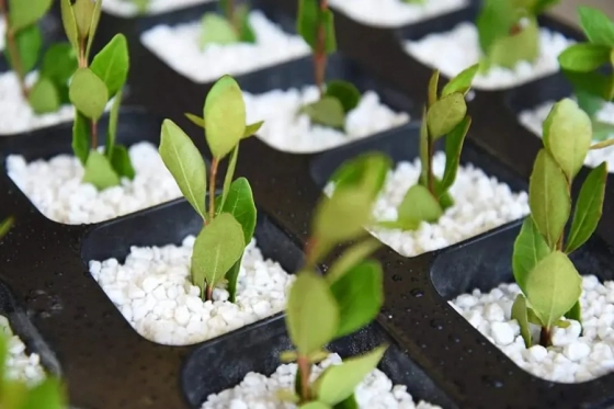 Агроперлит Lux фракция 0,16-5,0 мм 125 л