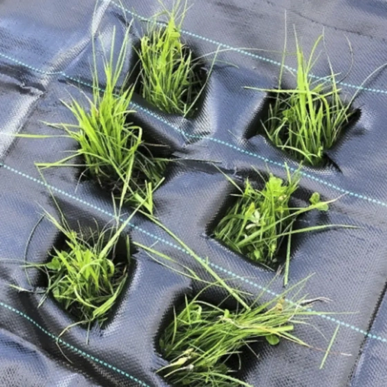 Агроткань 100 г/м² (ширина 1,1 м), цена за м.п.