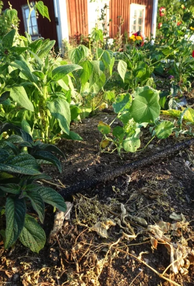 Шланг сочащийся Bradas Aqua-Drop 1/2" 15 м WAD1/2015