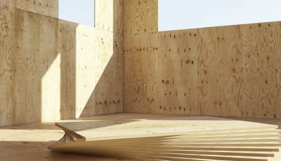 Фанера ФК влагостойкая 10 х 1525 х 1525 мм сорт 2/4