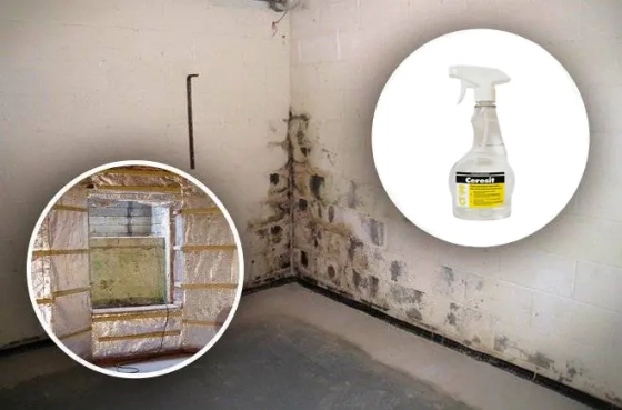 Противогрибковая грунтовка Ceresit CT-99 0,5 л