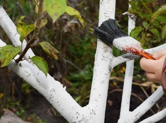 Краска для деревьев VGT акриловая ВД-АК-1180 7 кг