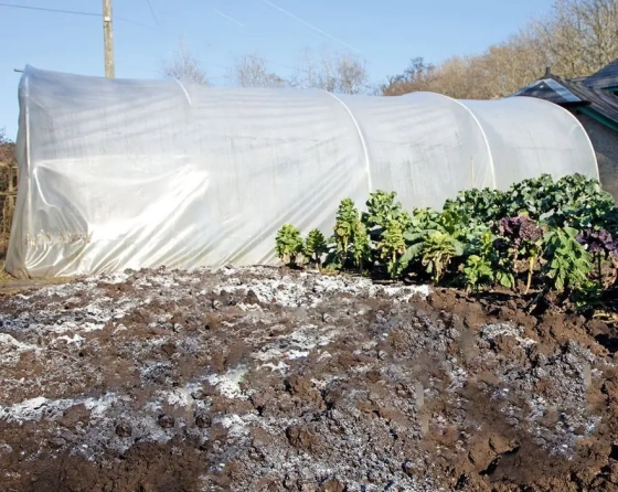 Доломитовая мука известняковая 30 кг