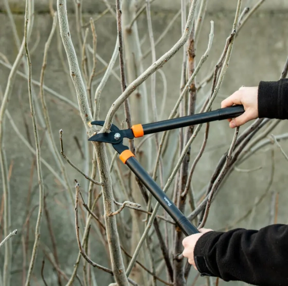 Секатор заходного типа Bradas V-Series 20 мм KT-V1212