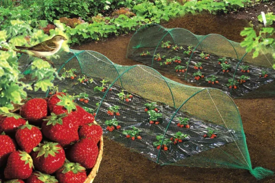 Сетка защитная от птиц Interlok 4х10 м ячейка 35x35 мм