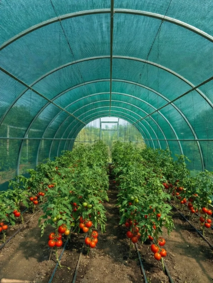 Сетка фасадная затеняющая KRONEX 55%, 4х50 м (STK-0905)