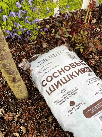 Шишки сосновые 35 л