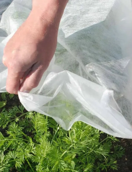 Спанбонд 40 г/м² ширина 3,2 м белый