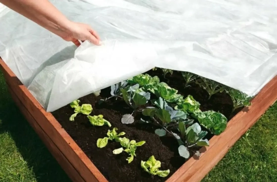 Спанбонд 60 г/м² ширина 3,2 м белый