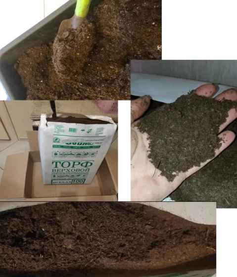 Торф верховой кипированный нейтрализов. Двина (pH 5,5 – 6,5) 100 л