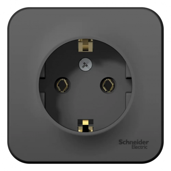 Розетка Schneider Electric Blanca BLNRA010116 с/з. РФ.