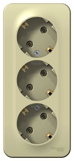 Розетка Schneider Electric Blanca BLNRA010317 с/з. РФ.