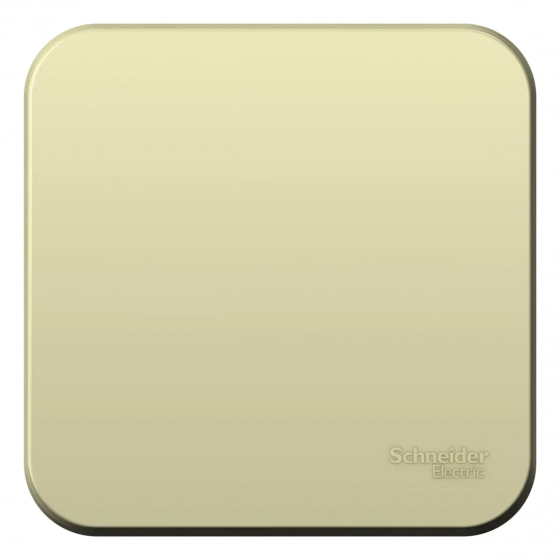Выключатель одноклавишный Schneider Electric Blanca BLNVA101017. РФ.