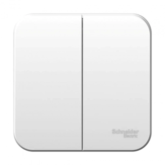 Выключатель двухкл. Schneider Electric Blanca BLNVA105011. РФ.