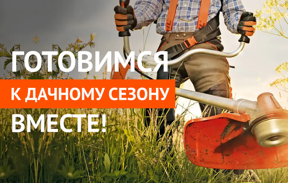 dacha-mobile.webp
