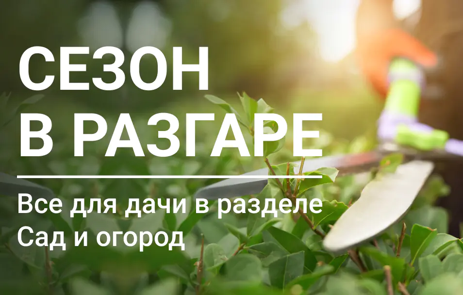 sezon-mobile.webp
