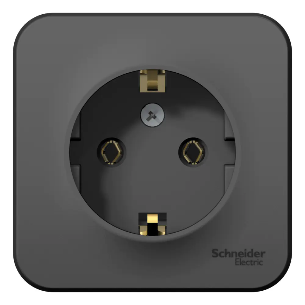 Розетка Schneider Electric Blanca BLNRA010116 с/з. РФ.