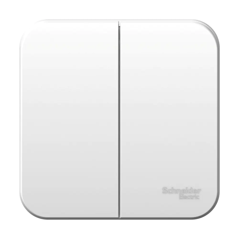 Выключатель двухкл. Schneider Electric Blanca BLNVA105011. РФ.